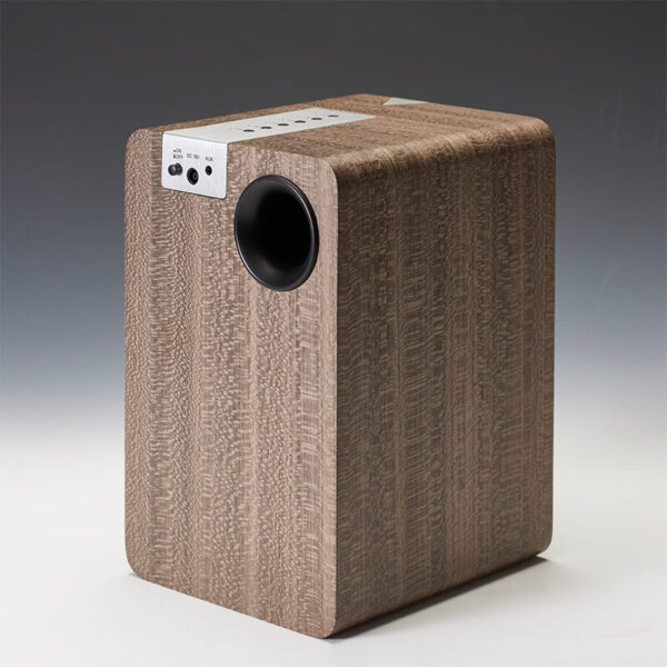 Q2 Desktop HIF Speakers Back